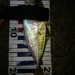 雨の中のピンポイントアジング